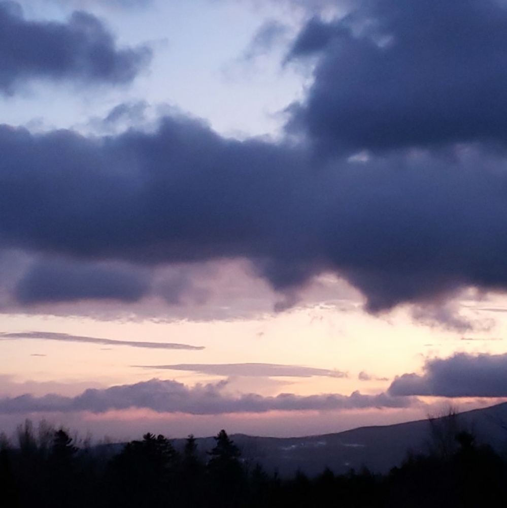 Thanks for shopping!